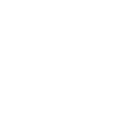 Vision Icon